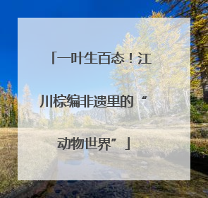 一叶生百态！江川棕编非遗里的“动物世界”