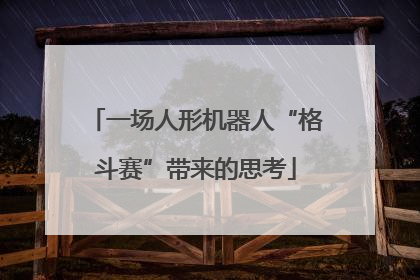 一场人形机器人“格斗赛”带来的思考