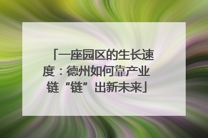 一座园区的生长速度：德州如何靠产业链“链”出新未来