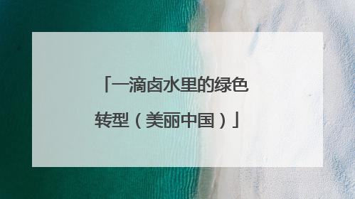 一滴卤水里的绿色转型（美丽中国）