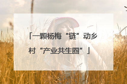 一颗杨梅“链”动乡村“产业共生圈”