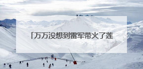 万万没想到雷军带火了莲藕，一天之内卖出去的莲藕是小米汽车的22倍