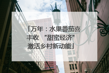万年：水果番茄喜丰收 “甜蜜经济”激活乡村新动能
