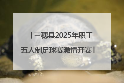 三穗县2025年职工五人制足球赛激情开赛