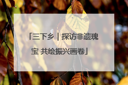 三下乡｜探访非遗瑰宝 共绘振兴画卷