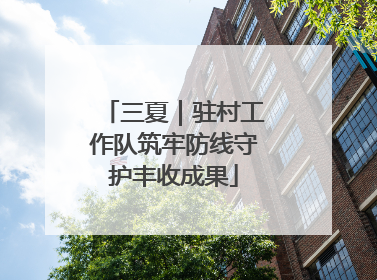 三夏｜驻村工作队筑牢防线守护丰收成果