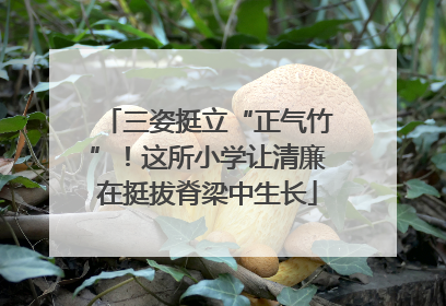 三姿挺立“正气竹”！这所小学让清廉在挺拔脊梁中生长