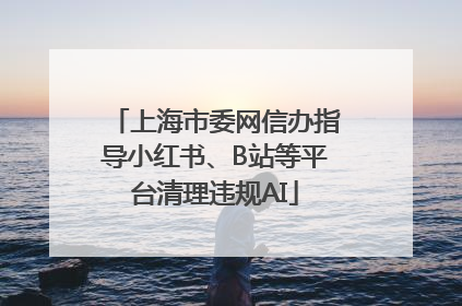 上海市委网信办指导小红书、B站等平台清理违规AI