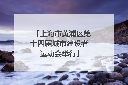 上海市黄浦区第十四届城市建设者运动会举行