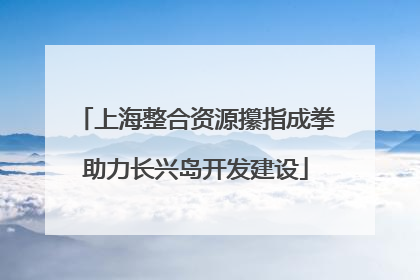 上海整合资源攥指成拳助力长兴岛开发建设