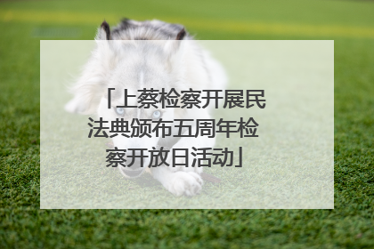 上蔡检察开展民法典颁布五周年检察开放日活动