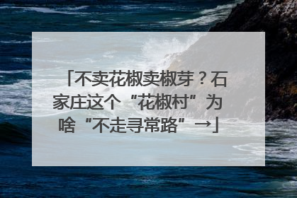 不卖花椒卖椒芽？石家庄这个“花椒村”为啥“不走寻常路”→