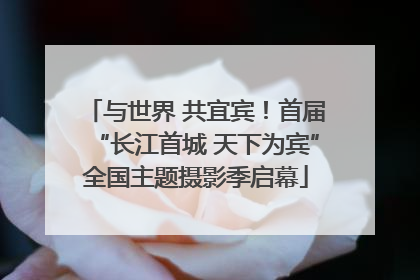 与世界 共宜宾！首届“长江首城 天下为宾”全国主题摄影季启幕