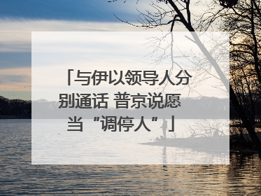 与伊以领导人分别通话 普京说愿当“调停人”