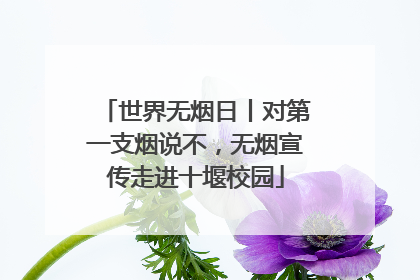 世界无烟日丨对第一支烟说不，无烟宣传走进十堰校园