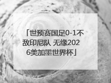 世预赛国足0-1不敌印尼队 无缘2026美加墨世界杯