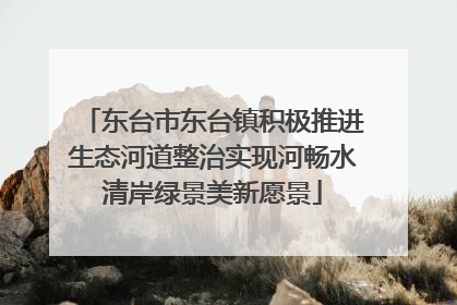 东台市东台镇积极推进生态河道整治实现河畅水清岸绿景美新愿景