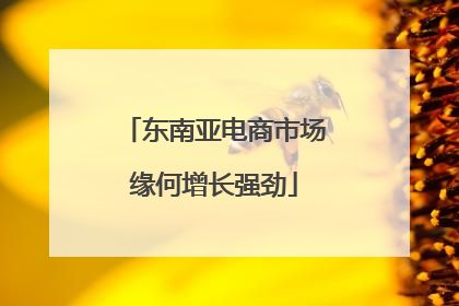 东南亚电商市场缘何增长强劲