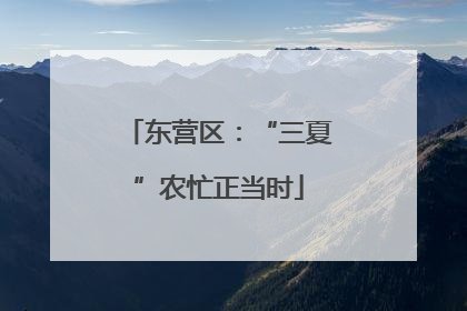东营区：“三夏”农忙正当时