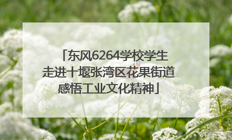 东风6264学校学生走进十堰张湾区花果街道感悟工业文化精神
