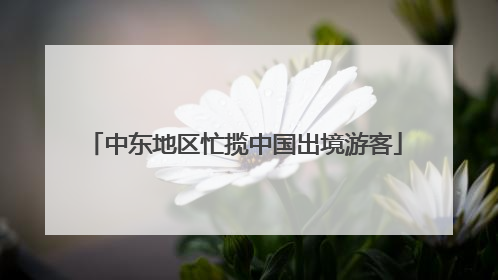 中东地区忙揽中国出境游客