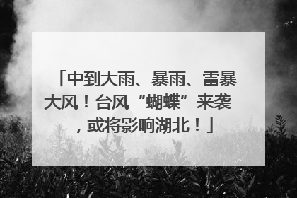 中到大雨、暴雨、雷暴大风！台风“蝴蝶”来袭，或将影响湖北！