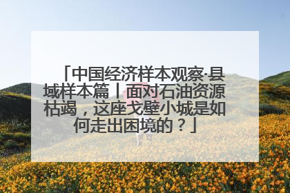 中国经济样本观察·县域样本篇丨面对石油资源枯竭，这座戈壁小城是如何走出困境的？