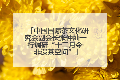 中国国际茶文化研究会副会长张仲灿一行调研“十二月令·非遗茶空间”