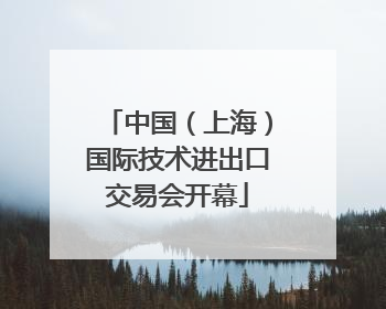 中国（上海）国际技术进出口交易会开幕
