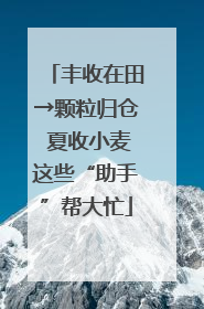 丰收在田→颗粒归仓 夏收小麦这些“助手”帮大忙