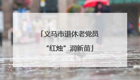 义马市退休老党员“红烛”润新苗