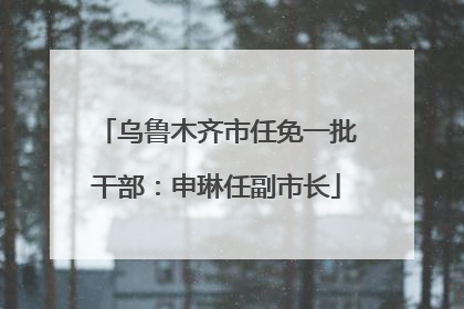 乌鲁木齐市任免一批干部：申琳任副市长