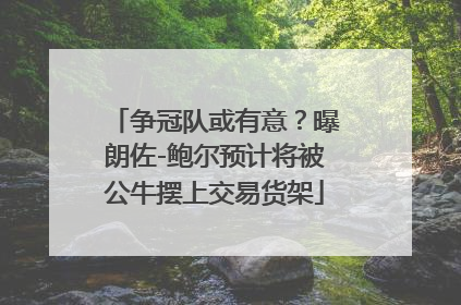 争冠队或有意？曝朗佐-鲍尔预计将被公牛摆上交易货架