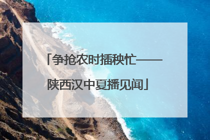 争抢农时插秧忙——陕西汉中夏播见闻