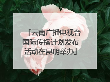 云南广播电视台国际传播计划发布活动在昆明举办