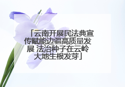 云南开展民法典宣传赋能边疆高质量发展 法治种子在云岭大地生根发芽
