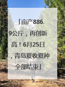 亩产886.9公斤，再创新高！6月25日，青岛夏收夏种全部结束
