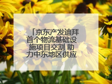 京东产发迪拜首个物流基础设施项目交割 助力中东地区供应链高质量发展