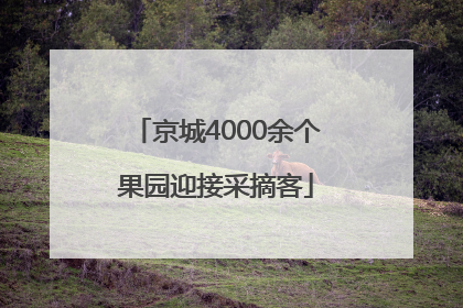 京城4000余个果园迎接采摘客