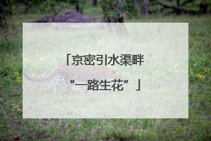 京密引水渠畔“一路生花”
