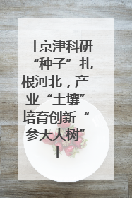 京津科研“种子”扎根河北，产业“土壤”培育创新“参天大树”