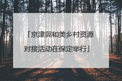 京津冀和美乡村资源对接活动在保定举行