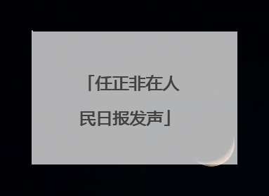 任正非在人民日报发声