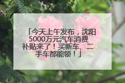 今天上午发布，沈阳5000万元汽车消费补贴来了！买新车、二手车都能领！