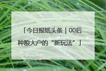 今日报纸头条｜00后种粮大户的“新玩法”