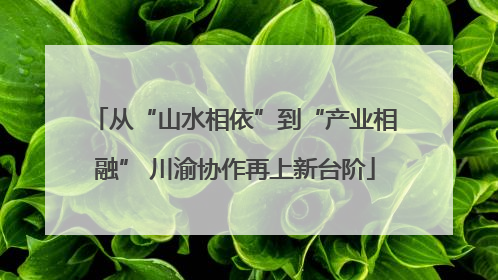 从“山水相依”到“产业相融” 川渝协作再上新台阶