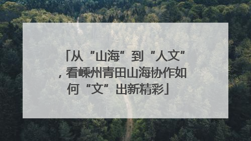 从“山海”到“人文”，看嵊州青田山海协作如何“文”出新精彩
