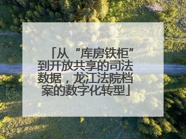 从“库房铁柜”到开放共享的司法数据，龙江法院档案的数字化转型