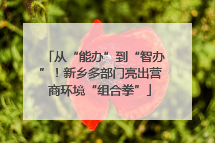从“能办”到“智办”！新乡多部门亮出营商环境“组合拳”
