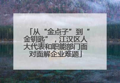 从“金点子”到“金钥匙”，江汉区人大代表和职能部门面对面解企业难题